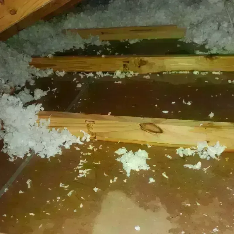 Attic Water Damage in Warm Springs, MT