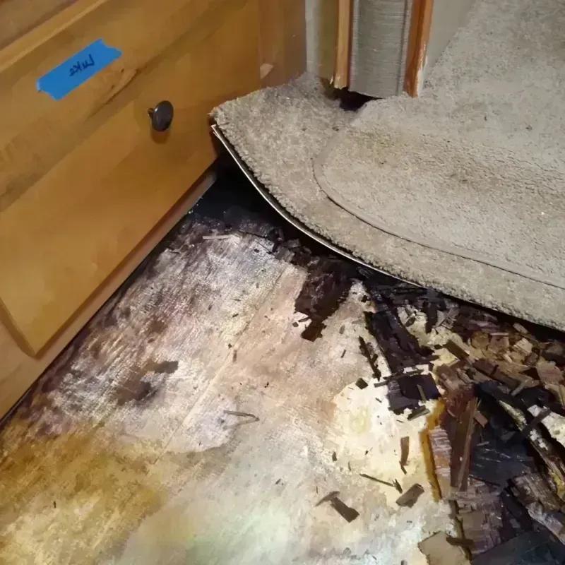 Wood Floor Water Damage in Warm Springs, MT